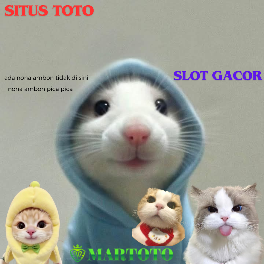 MARTOTO